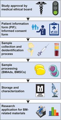 Guidelines for Biobanking of Bone Marrow Adipose Tissue and Related Cell Types: Report of the Biobanking Working Group of the International Bone Marrow Adiposity Society